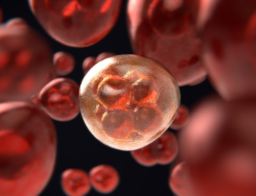 Rivoluzionari trattamenti antitumorali: le cellule CAR-T contro i tumori solidi e gli esperimenti sui topi
