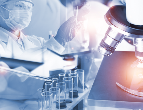 Alla scoperta del futuro: il microscopio artificiale
