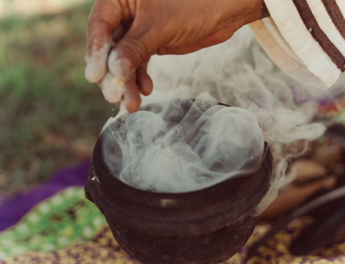 L’ayahuasca: una visione profonda nella medicina tradizionale amazzonica