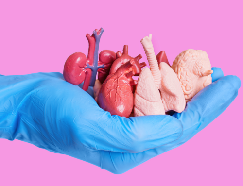 L’importanza di valutare l’età biologica: preservare la salute degli organi