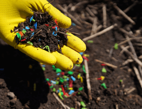 Microplastiche e resistenza agli antibiotici: una minaccia nascosta per la salute umana e ambientale