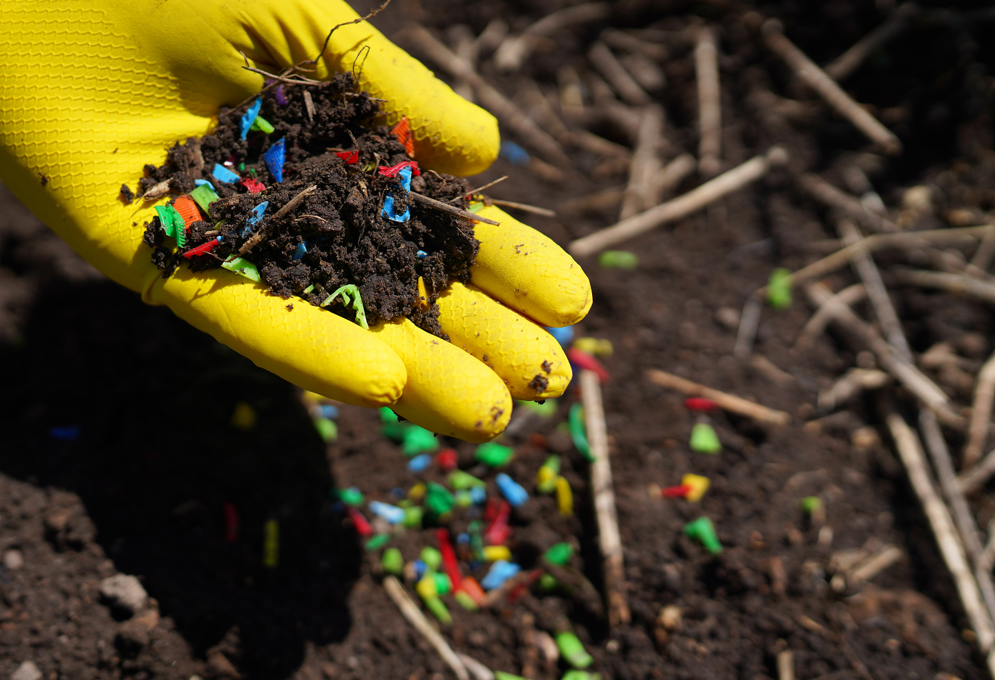 Microplastiche e resistenza agli antibiotici una minaccia nascosta per la salute umana e ambientale