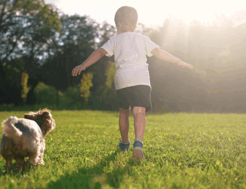Lasciateli osare: perché i giochi rischiosi aiutano i bambini a crescere