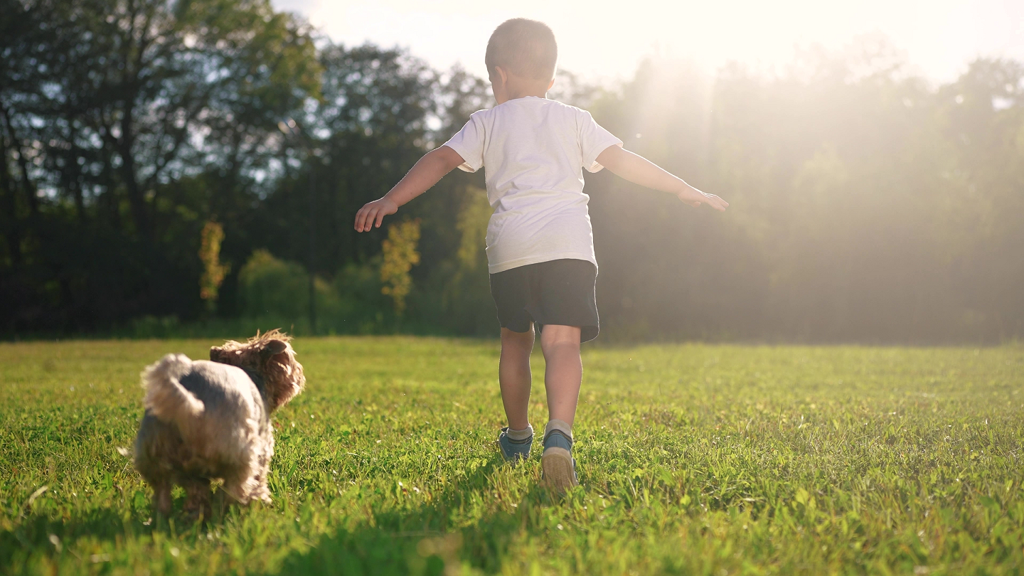 Lasciateli osare perché i giochi rischiosi aiutano i bambini a crescere