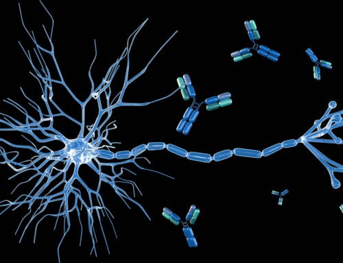 Microbiota intestinale e cervello: il legame con la sclerosi multipla e altri disturbi neurologici