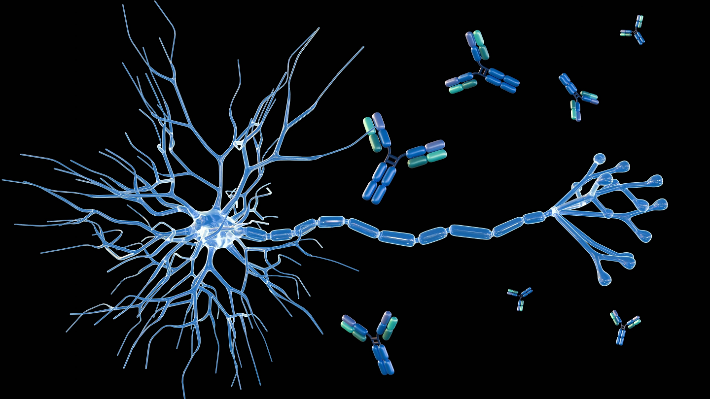 Microbiota intestinale e cervello il legame con la sclerosi multipla e altri disturbi neurologici