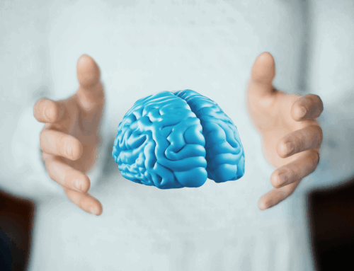Riprogrammare la mente: capire la neuroplasticità in modo semplice