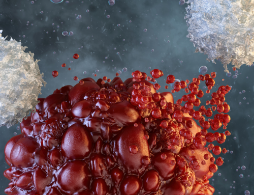 Nuove terapie cellulari contro il cancro: cellule CAR-NK più potenti e “invisibili” al sistema immunitario