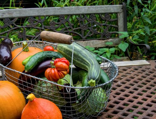 Pesticidi in frutta e verdura: cosa emerge dal nuovo studio e come ridurre l’esposizione