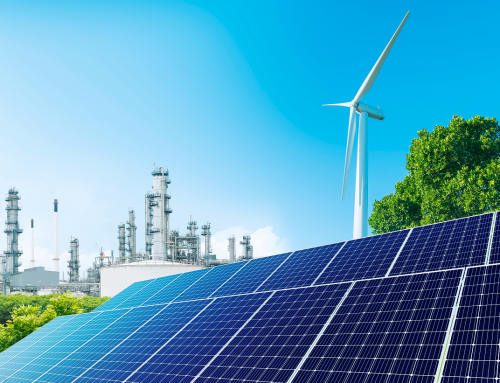 Ecodesign: progettare il futuro senza sprechi