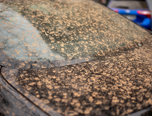 Cieli rossi e “pioggia di sangue”: quando il Sahara arriva in Europa