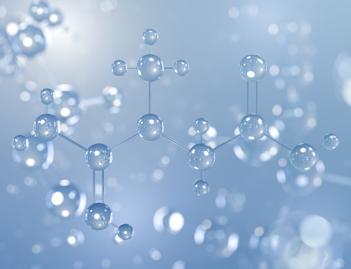 Creatina: dalla performance fisica all’invecchiamento attivo, cosa dice la ricerca su uno degli integratori più studiati