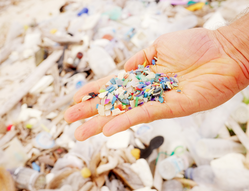 Microplastiche: piccole particelle, un grande problema per ambiente e salute