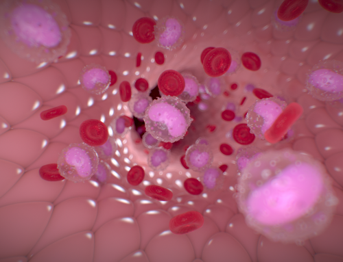 Tumore del colon-retto e microbiota: il ruolo dei batteri sotto la lente della ricerca